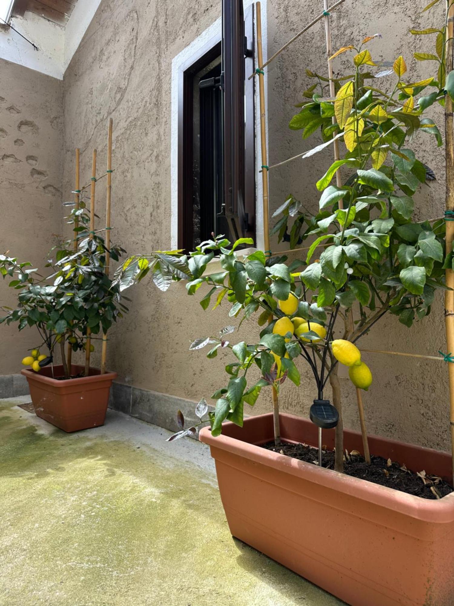B&B La Corte Puegnago Eksteriør bilde